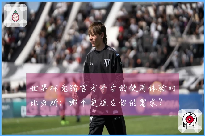 世界杯竞猜官方平台的使用体验对比分析：哪个更适合你的需求？