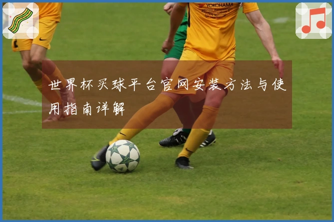 世界杯买球平台官网安装方法与使用指南详解