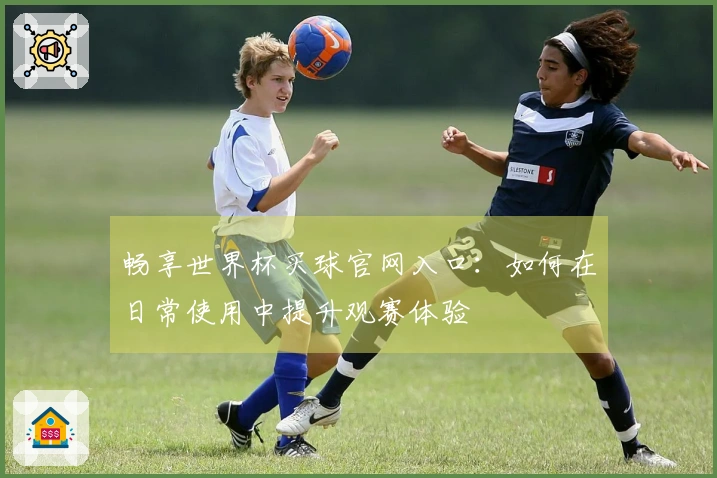 畅享世界杯买球官网入口:如何在日常使用中提升观赛体验