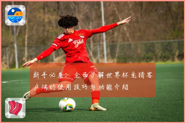 新手必看：全面了解世界杯竞猜客户端的使用技巧与功能介绍