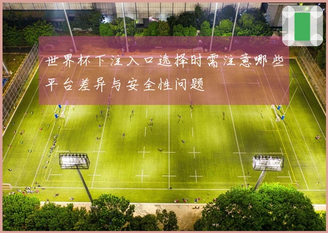 世界杯下注入口选择时需注意哪些平台差异与安全性问题