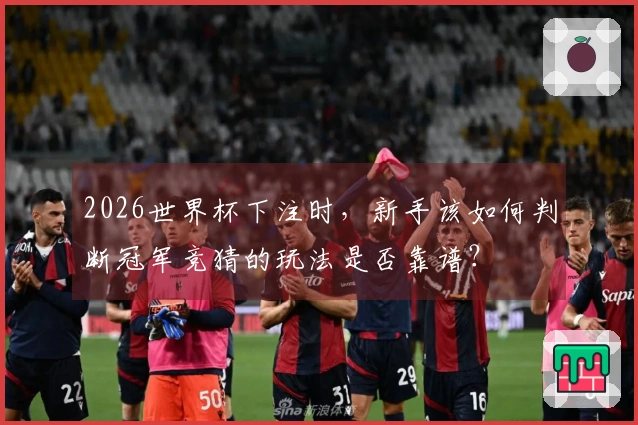 2026世界杯下注时,新手该如何判断冠军竞猜的玩法是否靠谱?
